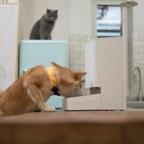 Automatisk feeder Xiaomi