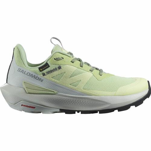 Løbesko til voksne Salomon Elixir Activ GORE-TEX® 37 1/3