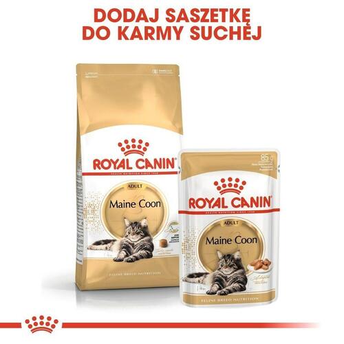 Kattemad Royal Canin Maine Coon Adult 12 x 85 g