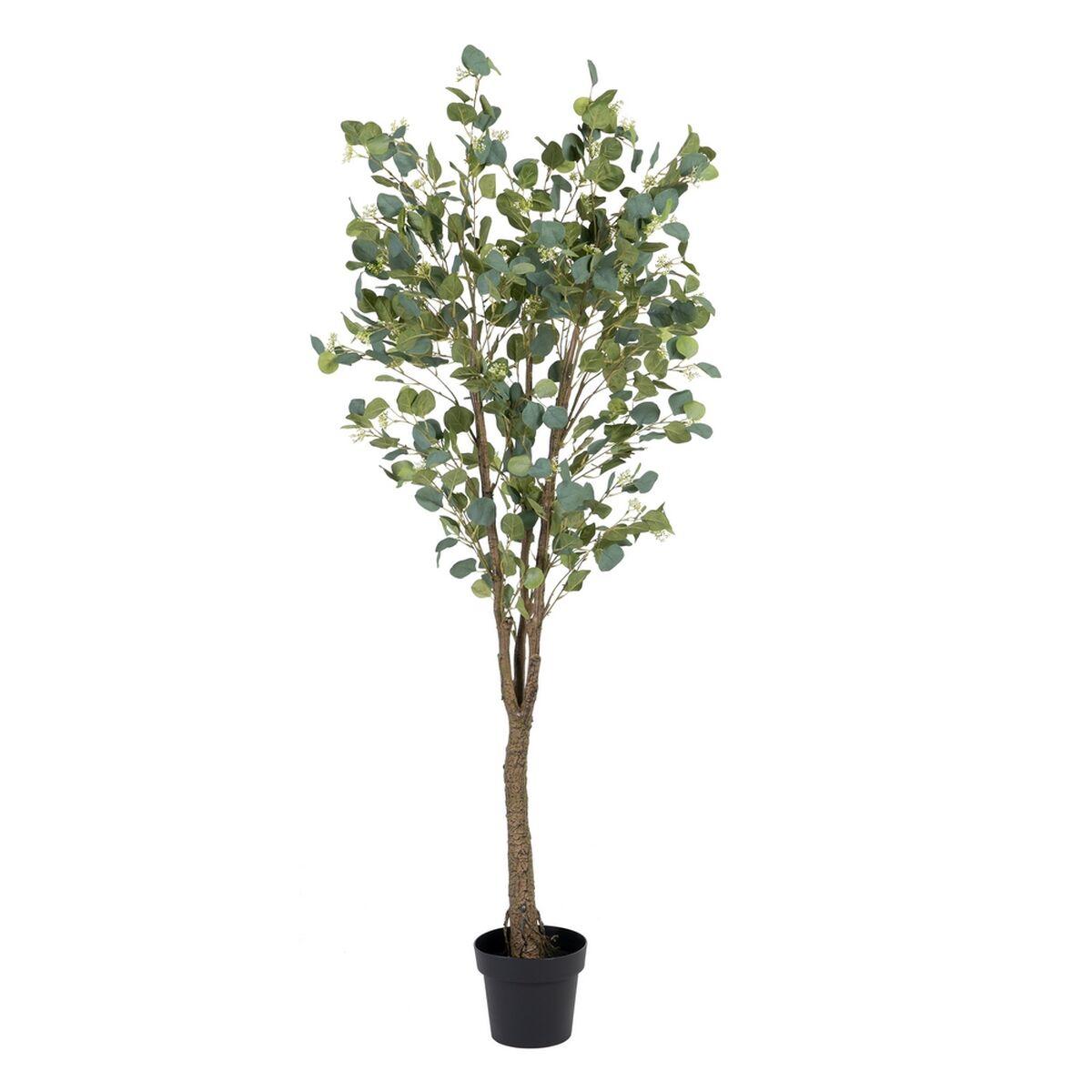Dekorativ Plante 80 X 75 X 173 Cm Grøn Pvc Eukalyptus