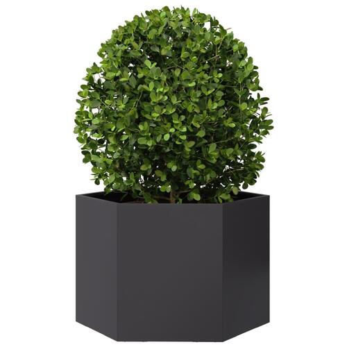 Plantekasse 69x60x45 cm sekskantet stål sort