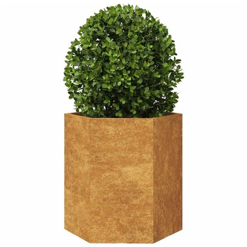 Plantekasser 2 stk. 46x40x45 cm sekskantet cortenstål