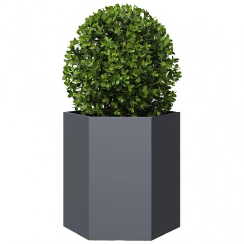 Plantekasse sekskantet i stål - 46×40×45 cm, antracitgrå