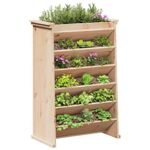 Plantevæg 69x40x101,5 cm 6 niveauer massivt fyrretræ