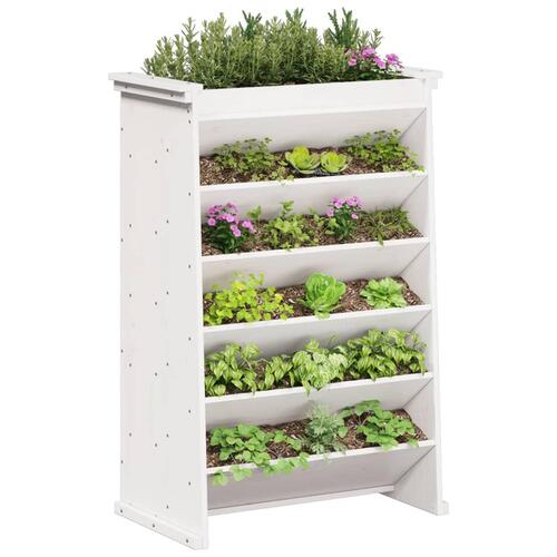 Plantevæg 69x40x101,5 cm 6 niveauer massivt fyrretræ hvid