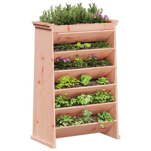 Plantevæg 69x40x101,5 cm 6 niveauer massivt douglasgran