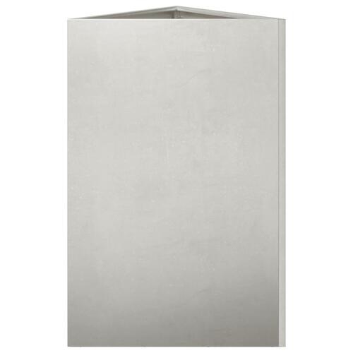 Plantekasser 2 stk. 50x43x75 cm trekantet rustfrit stål sort