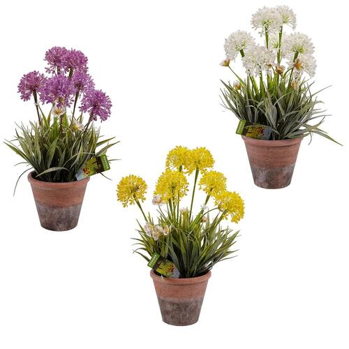 Dekorativ plante Kork Keramik Plastik 24 x 43 x 24 cm (8 enheder)