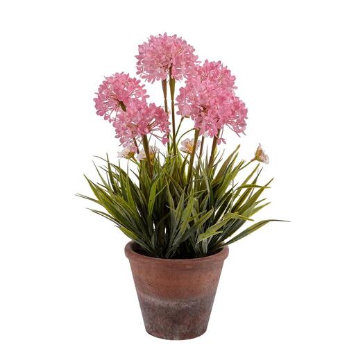 Dekorativ plante Kork Keramik Plastik 24 x 43 x 24 cm (8 enheder)