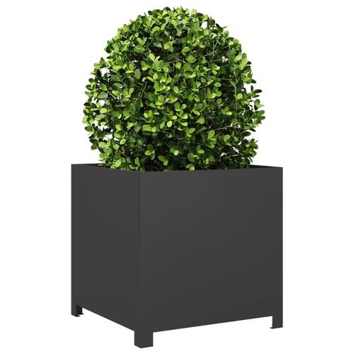 Plantekrukke 50x50x50 cm stål sort