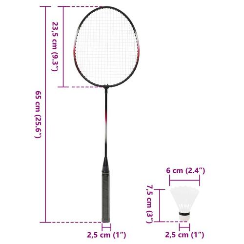 Badmintonsæt 292x30x152 cm 2 ketsjere + net og opbevaringstaske