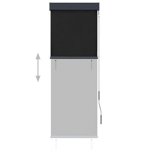 Udendørs rullegardin 60x250 cm antracitgrå