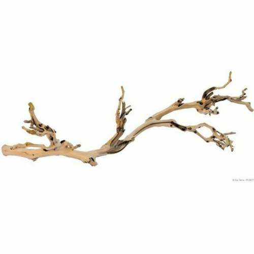 Indretning Exo Terra PT3077A1 Vivarium