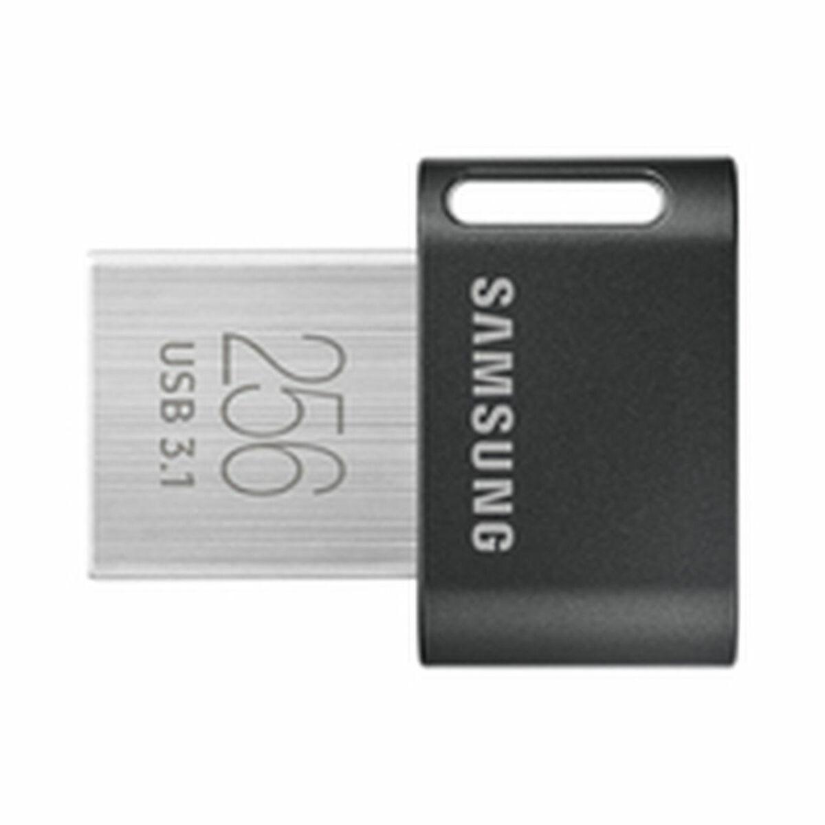 USB-stik Samsung MUF-256AB/APC 256 GB