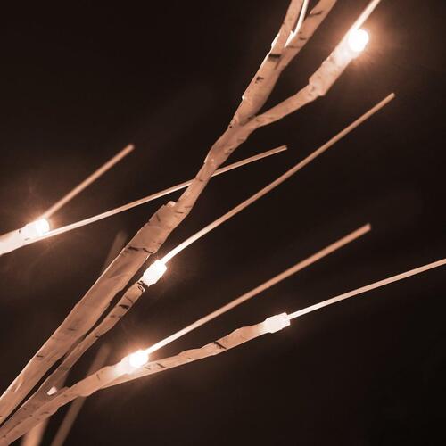LED-birketræ 150 cm 72 LED'er varmt hvidt lys hvid
