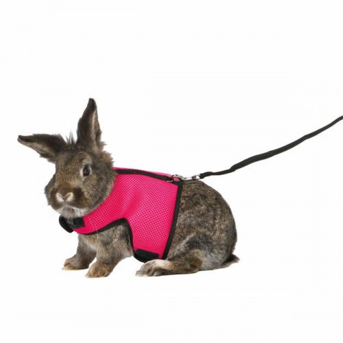 Hundesele Trixie - justerbar sele til gåture