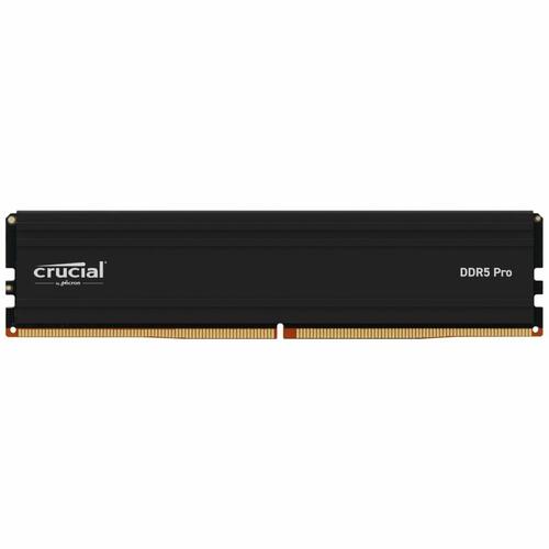 RAM-hukommelse Crucial CP24G60C48U5