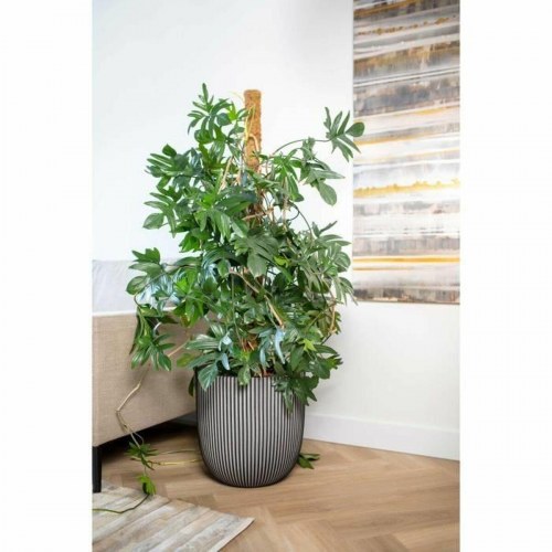 Urtepotte plast Capi Europe Ø 43 cm
