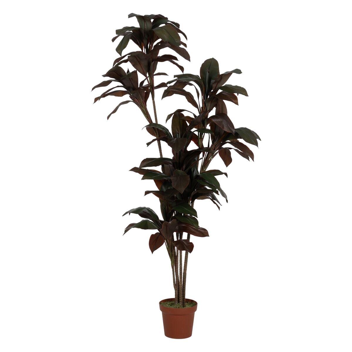 Dekorativ Plante Polyetylen Jern Cement 45 X 45 X 170 Cm