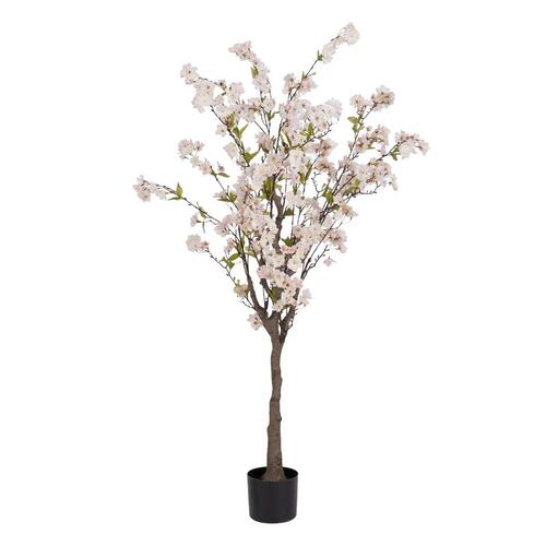 Dekorativ plante PVC Cement Materiale 40 x 40 x 140 cm