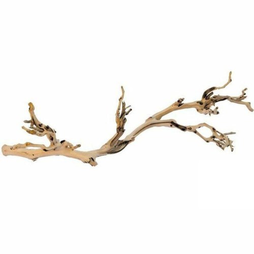 Indretning Exo Terra PT3077A1 Vivarium