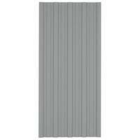 Tagplader 12 stk. 100x45 cm galvaniseret stål grå