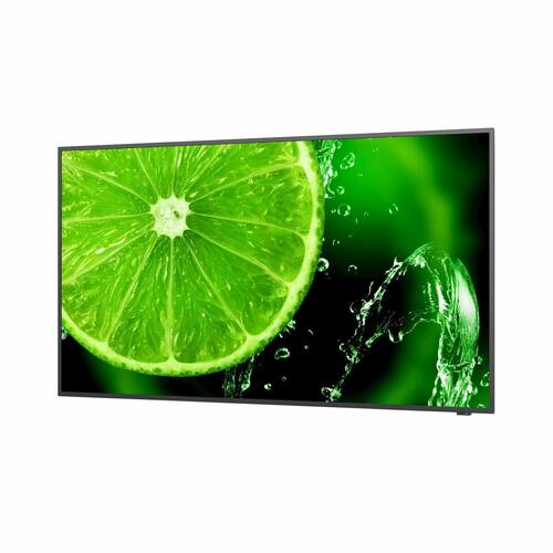 Videovæg Monitor NEC 60005059 LED 4K Ultra HD 65" 60 Hz 65"