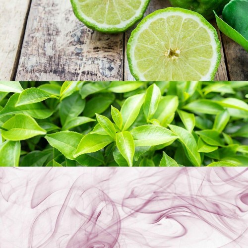 Parfume til kvinder Calvin Klein CK One EDT 50 ml