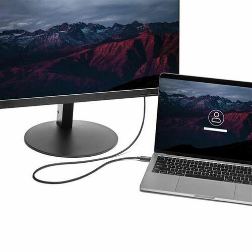 USB C til VGA-kabel Startech CDP2VGAMM2MB (2 m) Sort