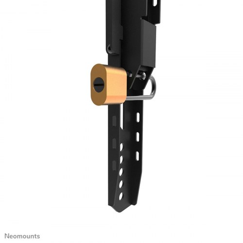 Neomounts WL30-750BL16 fast TV-vægbeslag 42-86″, sort