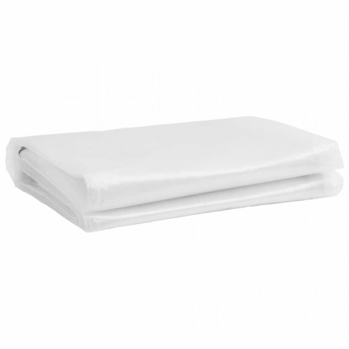 Klar presenning med øjer 1×2 m - gennemsigtig PE 140 g/m²
