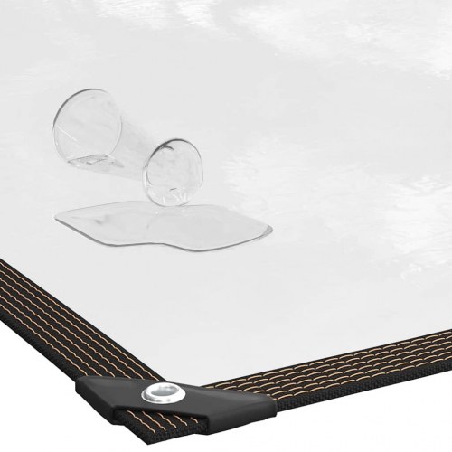 Klar presenning med øjer 4 × 8 m - polyethylen, transparent