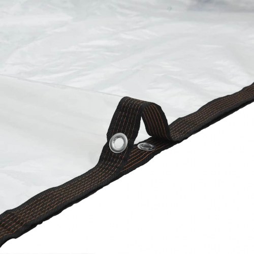 Klar presenning med øjer 4 × 12 m - polyethylen, transparent/sort