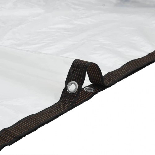 Klar presenning med øjer 2 × 6 m - polyethylen, transparent