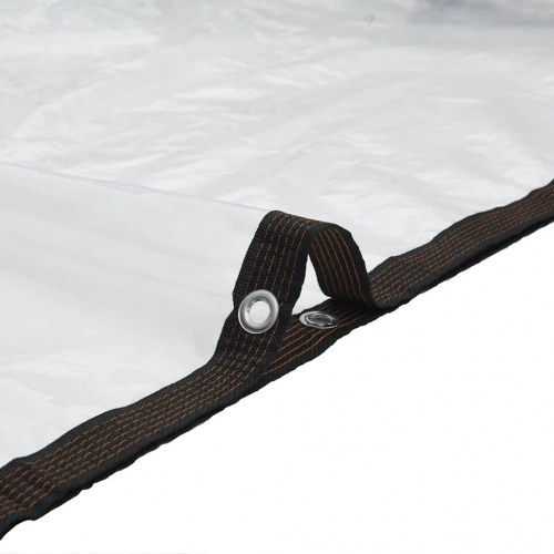 Klar presenning med øjer 4 × 6 m - polyethylen (transparent/sort)