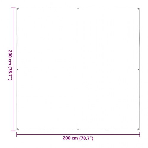 Klar presenning med øjer 2 x 2 m PVC