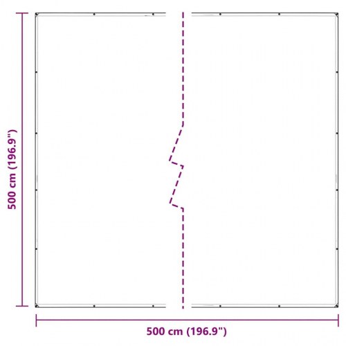 Klar presenning med øjer 5 x 5 m PVC