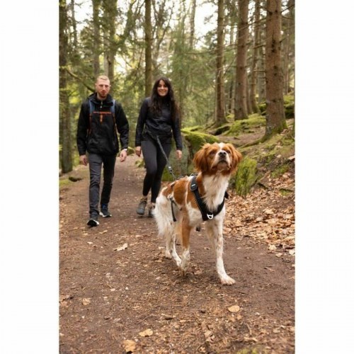 Hundesele SYMBIOZ - Sort XL