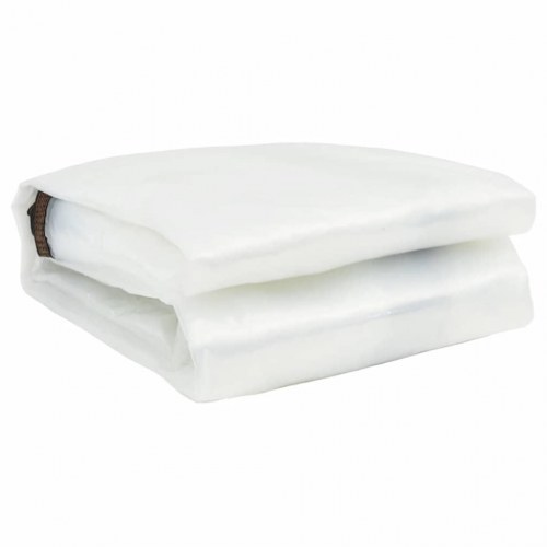 Klar presenning med øjer 1 × 6 m - polyethylen, transparent