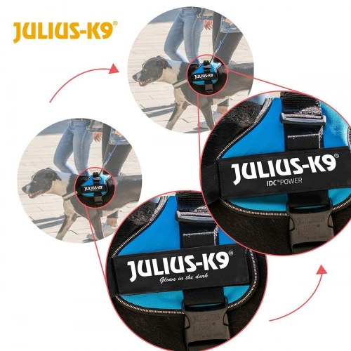 Hundesele Julius K9 Power - Blå M/L