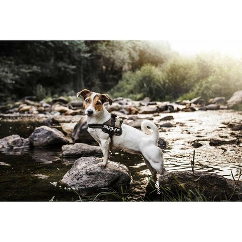 Hundesele Julius K9 Power M