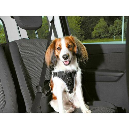 Hundesele Trixie Comfort Sort S/M Bil