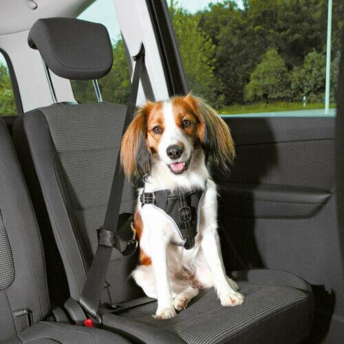 Hundesele Trixie Comfort Sort S/M Bil