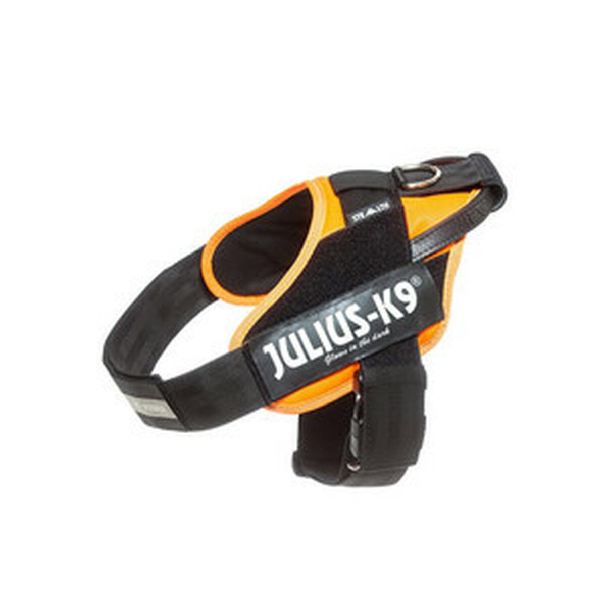 Hundesele Julius Idc Orange Xl2