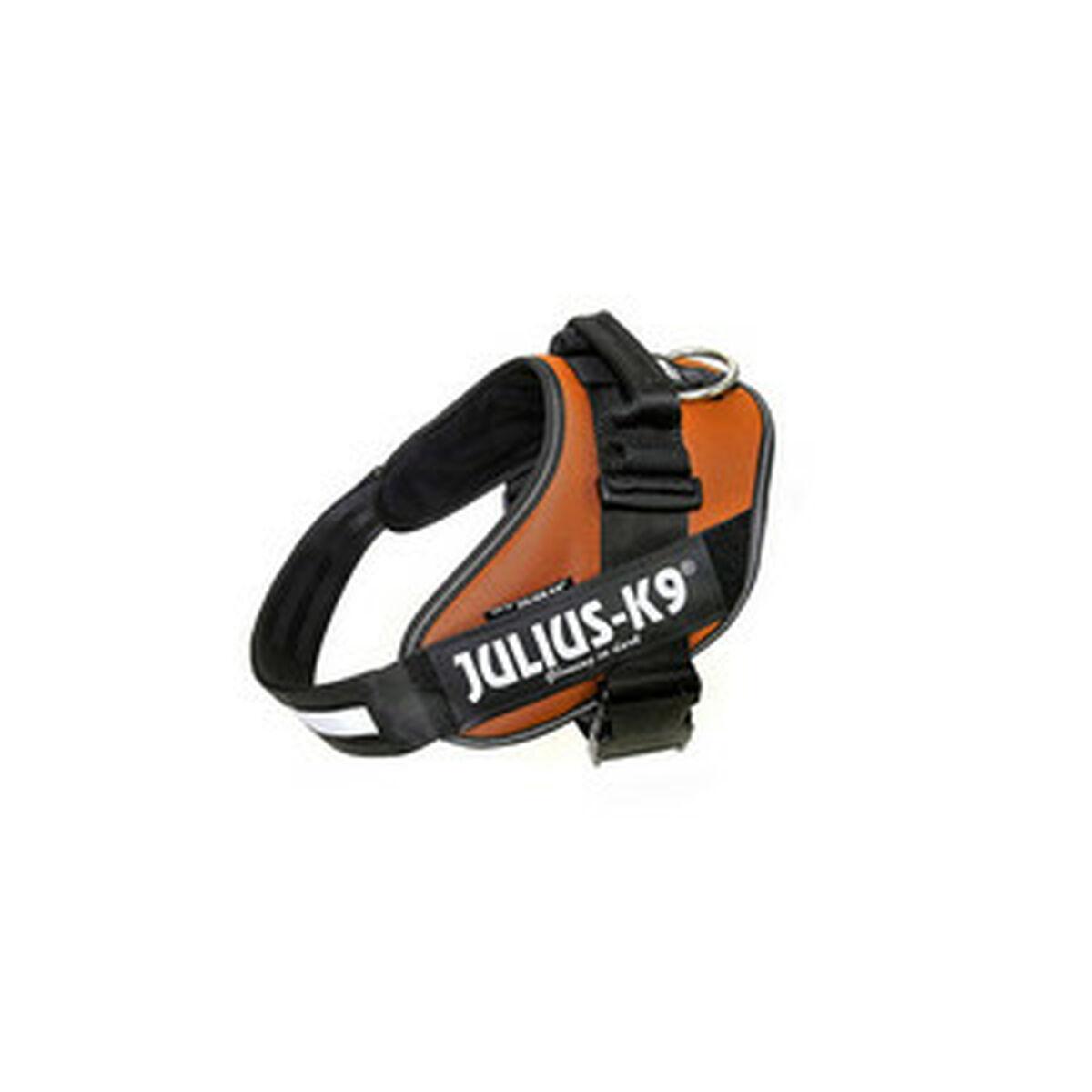 Hundesele Julius Idc Orange Xl3 118