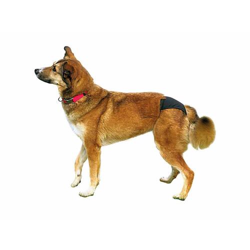 Trusser Trixie 23495 Bomuld XL