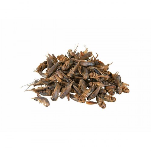 Reptilfoder Trixie - 250 ml (25 g)