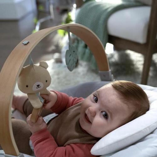 Ingenuity baby-hængekøje til børneværelset
