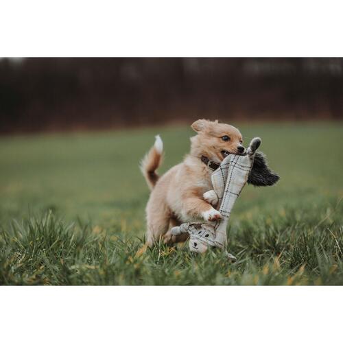 Plush legetøj til hunde Hunter Beige 100 % Genbrug Ræv