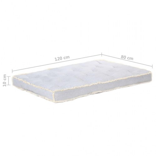 Hynde til pallesofa 120×80×10 cm - grå bomuld med frynser